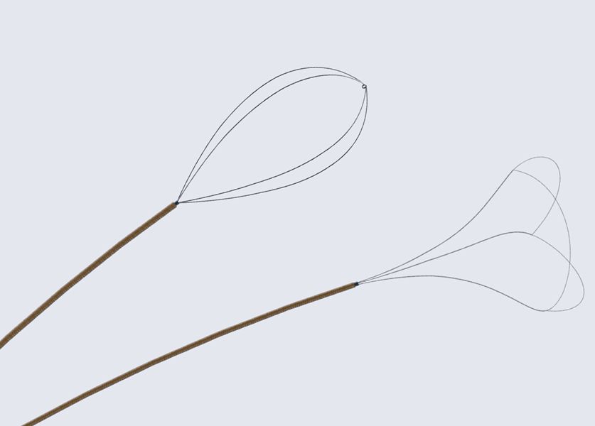 Ureteral Access Sheath